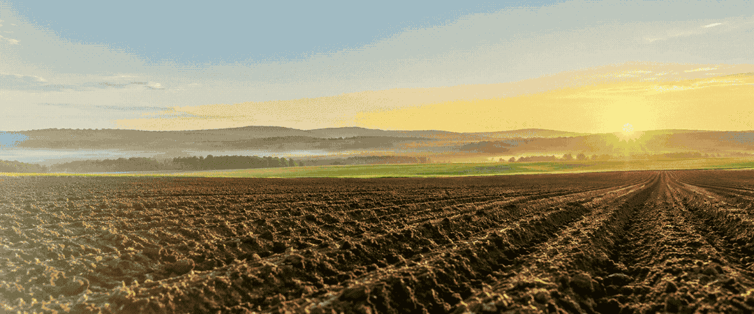 Ingenious-agriculture-ad-1080×450